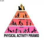 Where on the Physical Activity Pyramid Do Lifestyle Activities Belong?